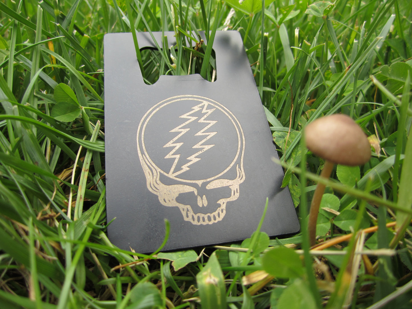 Grateful Dead Stealie Steel Credit Card Bottle Opener